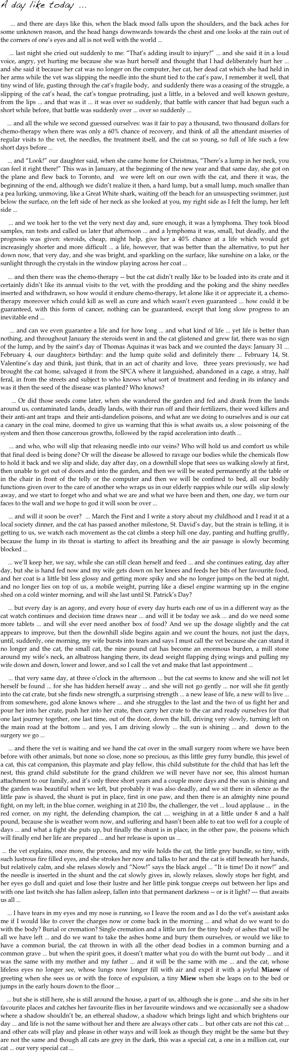 A day like today ...

    ... and there are days like this, when the black mood falls upon the shoulders, and the back aches for some unknown reason, and the head hangs downwards towards the chest and one looks at the rain out of the corners of one’s eyes and all is not well with the world ...
    ... last night she cried out suddenly to me: “That’s adding insult to injury!” ... and she said it in a loud voice, angry, yet hurting me because she was hurt herself and thought that I had deliberately hurt her ... and she said it because her cat was no longer on the computer, her cat, her dead cat which she had held in her arms while the vet was slipping the needle into the shunt tied to the cat’s paw, I remember it well, that tiny wind of life, gusting through the cat’s fragile body,  and suddenly there was a ceasing of the struggle, a slipping of the cat’s head, the cat’s tongue protruding, just a little, in a beloved and well known gesture, from the lips ... and that was it ... it was over so suddenly, that battle with cancer that had begun such a short while before, that battle was suddenly over ... over so suddenly ...
    ... and all the while we second guessed ourselves: was it fair to pay a thousand, two thousand dollars for chemo-therapy when there was only a 60% chance of recovery, and think of all the attendant miseries of regular visits to the vet, the needles, the treatment itself, and the cat so young, so full of life such a few short days before ... 
    ... and “Look!” our daughter said, when she came home for Christmas, “There’s a lump in her neck, you can feel it right there!” This was in January, at the beginning of the new year and that same day, she got on the plane and flew back to Toronto, and  we were left on our own with the cat, and there it was, the beginning of the end, although we didn’t realize it then, a hard lump, but a small lump, much smaller than a pea lurking, unmoving, like a Great White shark, waiting off the beach for an unsuspecting swimmer, just below the surface, on the left side of her neck as she looked at you, my right side as I felt the lump, her left side ...
    ... and we took her to the vet the very next day and, sure enough, it was a lymphoma. They took blood samples, ran tests and called us later that afternoon ... and a lymphoma it was, small, but deadly, and the prognosis was given: steroids, cheap, might help, give her a 40% chance at a life which would get increasingly shorter and more difficult ... a life, however, that was better than the alternative, to put her down now, that very day, and she was bright, and sparkling on the surface, like sunshine on a lake, or the sunlight through the crystals in the window playing across her coat ... 
    ... and then there was the chemo-therapy -- but the cat didn’t really like to be loaded into its crate and it certainly didn’t like its annual visits to the vet, with the prodding and the poking and the shiny needles inserted and withdrawn, so how would it endure chemo-therapy, let alone like it or appreciate it, a chemo-therapy moreover which could kill as well as cure and which wasn’t even guaranteed ... how could it be guaranteed, with this form of cancer, nothing can be guaranteed, except that long slow progress to an inevitable end ... 
    ... and can we even guarantee a life and for how long ... and what kind of life ... yet life is better than nothing, and throughout January the steroids went in and the cat glistened and grew fat, there was no sign of the lump, and by the saint’s day of Thomas Aquinas it was back and we counted the days: January 31 ... February 4, our daughter;s birthday: and the lump quite solid and definitely there ... February 14, St. Valentine’s day and think, just think, that in an act of charity and love,  three years previously, we had brought the cat home, salvaged it from the SPCA where it languished, abandoned in a cage, a stray, half feral, in from the streets and subject to who knows what sort of treatment and feeding in its infancy and was it then the seed of the disease was planted? Who knows? 
    ... Or did those seeds come later, when she wandered the garden and fed and drank from the lands around us, contaminated lands, deadly lands, with their run off and their fertilizers, their weed killers and their anti-ant ant traps  and their anti-dandelion poisons, and what are we doing to ourselves and is our cat a canary in the coal mine, doomed to give us warning that this is what awaits us, a slow poisoning of the system and then those cancerous growths, followed by the rapid acceleration into death ...
    ... and who, who will slip that releasing needle into our veins? Who will hold us and comfort us while that final deed is being done? Or will the disease be allowed to ravage our bodies while the chemicals flow to hold it back and we slip and slide, day after day, on a downhill slope that sees us walking slowly at first, then unable to get out of doors and into the garden, and then we will be seated permanently at the table or in the chair in front of the telly or the computer and then we will be confined to bed, all our bodily functions given over to the care of another who wraps us in our elderly nappies while our wills  slip slowly away, and we start to forget who and what we are and what we have been and then, one day, we turn our faces to the wall and we hope to god it will soon be over ...
    ... and will it soon be over?  ... March the First and I write a story about my childhood and I read it at a local society dinner, and the cat has passed another milestone, St. David’s day, but the strain is telling, it is getting to us, we watch each movement as the cat climbs a steep hill one day, panting and huffing gruffly, because the lump in its throat is starting to affect its breathing and the air passage is slowly becoming blocked ... 
    ... we’ll keep her, we say, while she can still clean herself and feed ... and she continues eating, day after day, but she is hand fed now and my wife gets down on her knees and feeds her bits of her favourite food, and her coat is a little bit less glossy and getting more spiky and she no longer jumps on the bed at night, and no longer lies on top of us, a mobile weight, purring like a diesel engine warming up in the engine shed on a cold winter morning, and will she last until St. Patrick’s Day? 
    ... but every day is an agony, and every hour of every day hurts each one of us in a different way as the cat watch continues and decision time draws near ... and will it be today we ask ... and do we need some more tablets ... and will she ever need another box of food? And we up the dosage slightly and the cat appears to improve, but then the downhill slide begins again and we count the hours, not just the days, until, suddenly, one morning, my wife bursts into tears and says I must call the vet because she can stand it no longer and the cat, the small cat, the nine pound cat has become an enormous burden, a mill stone around my wife’s neck, an albatross hanging there, its dead weight flapping dying wings and pulling my wife down and down, lower and lower, and so I call the vet and make that last appointment ...
    ... that very same day, at three o’clock in the afternoon ... but the cat seems to know and she will not let herself be found ... for she has hidden herself away ... and she will not go gently ... nor will she fit gently into the cat crate, but she finds new strength, a surprising strength ... a new lease of life, a new will to live ... from somewhere, god alone knows where ... and she struggles to the last and the two of us fight her and pour her into her crate, push her into her crate, then carry her crate to the car and ready ourselves for that one last journey together, one last time, out of the door, down the hill, driving very slowly, turning left on the main road at the bottom ... and yes, I am driving slowly ... the sun is shining ... and  down to the surgery we go ... 
    ... and there the vet is waiting and we hand the cat over in the small surgery room where we have been before with other animals, but none so close, none so precious, as this little grey furry bundle, this jewel of a cat, this cat companion, this playmate and play fellow, this child substitute for the child that has left the nest, this grand child substitute for the grand children we will never have nor see, this almost human attachment to our family, and it’s only three short years and a couple more days and the sun is shining and the garden was beautiful when we left, but probably it was also deadly, and we sit there in silence as the little paw is shaved, the shunt is put in place, first in one paw, and then there is an almighty nine pound fight, on my left, in the blue corner, weighing in at 210 lbs, the challenger, the vet ... loud applause ...  in the red corner, on my right, the defending champion, the cat .... weighing in at a little under 8 and a half pound, because she is weather worn now, and suffering and hasn’t been able to eat too well for a couple of days ... and what a fight she puts up, but finally the shunt is in place, in the other paw, the poisons which will finally end her life are prepared ... and her release is upon us ...
 ... the vet explains, once more, the process, and my wife holds the cat, the little grey bundle, so tiny, with such lustrous fire filled eyes, and she strokes her now and talks to her and the cat is stiff beneath her hands, but relatively calm, and she relaxes slowly and “Now!” says the black angel ... “It is time! Do it now!” and the needle is inserted in the shunt and the cat slowly gives in, slowly relaxes, slowly stops her fight, and her eyes go dull and quiet and lose their lustre and her little pink tongue creeps out between her lips and with one last twitch she has fallen asleep, fallen into that permanent darkness -- or is it light? --- that awaits us all ...
    ... I have tears in my eyes and my nose is running, so I leave the room and as I do the vet’s assistant asks me if I would like to cover the charges now or come back in the morning ... and what do we want to do with the body? Burial or cremation? Single cremation and a little urn for the tiny body of ashes that will be all we have left ... and do we want to take the ashes home and bury them ourselves, or would we like to have a common burial, the cat thrown in with all the other dead bodies in a common burning and a common grave ... but when the spirit goes, it doesn’t matter what you do with the burnt out body ... and it was the same with my mother and my father ... and it will be the same with me ... and the cat, whose lifeless eyes no longer see, whose lungs now longer fill with air and expel it with a joyful Miaow of greeting when she sees us or with the force of expulsion, a tiny Miew when she leaps on to the bed or jumps in the early hours down to the floor ...
    ... but she is still here, she is still around the house, a part of us, although she is gone ... and she sits in her favourite places and catches her favourite flies in her favourite windows and we occasionally see a shadow where a shadow shouldn’t be, an ethereal shadow, a shadow which brings light and which brightens our day ... and life is not the same without her and there are always other cats ... but other cats are not this cat ... and other cats will play and please in other ways and will look as though they might be the same but they are not the same and though all cats are grey in the dark, this was a special cat, a one in a million cat, our cat ... our very special cat ...


