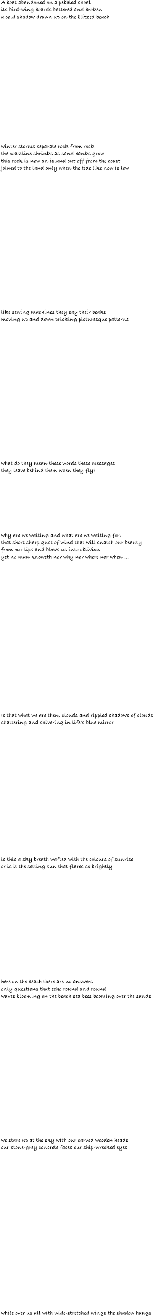 
A boat abandoned on a pebbled shoal
its bird-wing boards battered and broken 
a cold shadow drawn up on the blitzed beach 

















winter storms separate rock from rock
the coastline shrinks as sand banks grow
this rock is now an island cut off from the coast
joined to the land only when the tide like now is low



















like sewing machines they say their beaks
moving up and down pricking picturesque patterns



















what do they mean these words these messages
they leave behind them when they fly?








why are we waiting and what are we waiting for:
that short sharp gust of wind that will snatch our beauty
from our lips and blows us into oblivion
yet no man knoweth nor why nor where nor when ...





















Is that what we are then, clouds and rippled shadows of clouds
shattering and shivering in life’s blue mirror


















is this a sky breath wafted with the colours of sunrise
or is it the setting sun that flares so brightly















here on the beach there are no answers
only questions that echo round and round
waves blooming on the beach sea bees booming over the sands



















we stare up at the sky with our carved wooden heads
our stone-grey concrete faces our ship-wrecked eyes 






















while over us all with wide-stretched wings the shadow hangs













